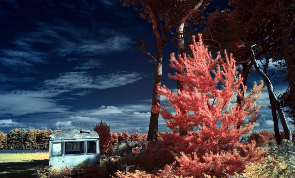 colour infrared photography by fine art and conference photographer Edinburgh, Glasgow Scotland